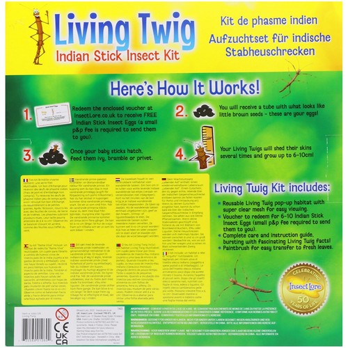 Insect Lore Indian Stick Insektenset lebender Zweig mit Gutschein inklusive Alter 4+ - Bild 4 von 7
