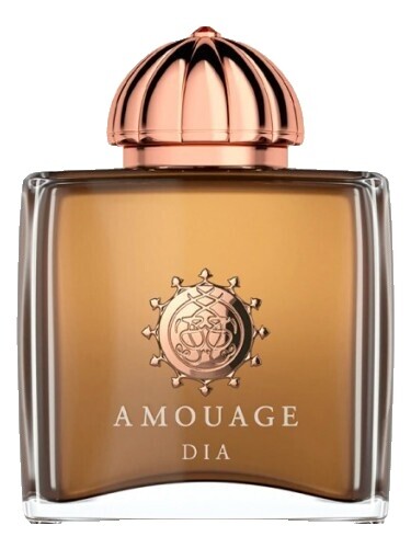 DIA MAN EDP 100ml/3.4oz AMOUAGE RARE FIND UNBOXED VAULTED VINTAGE