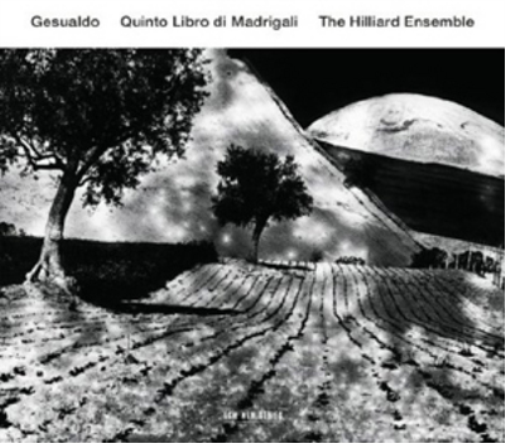 Carlo Gesualdo Gesualdo: Quinto Libro Di Madrigali (CD) Album