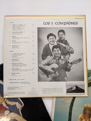 Lote de 3 LP - ¡BONITAS PIERNAS Y PIES! Fundas para tartas de queso salón/latino para decoración de paredes - Imagen 3 de 10
