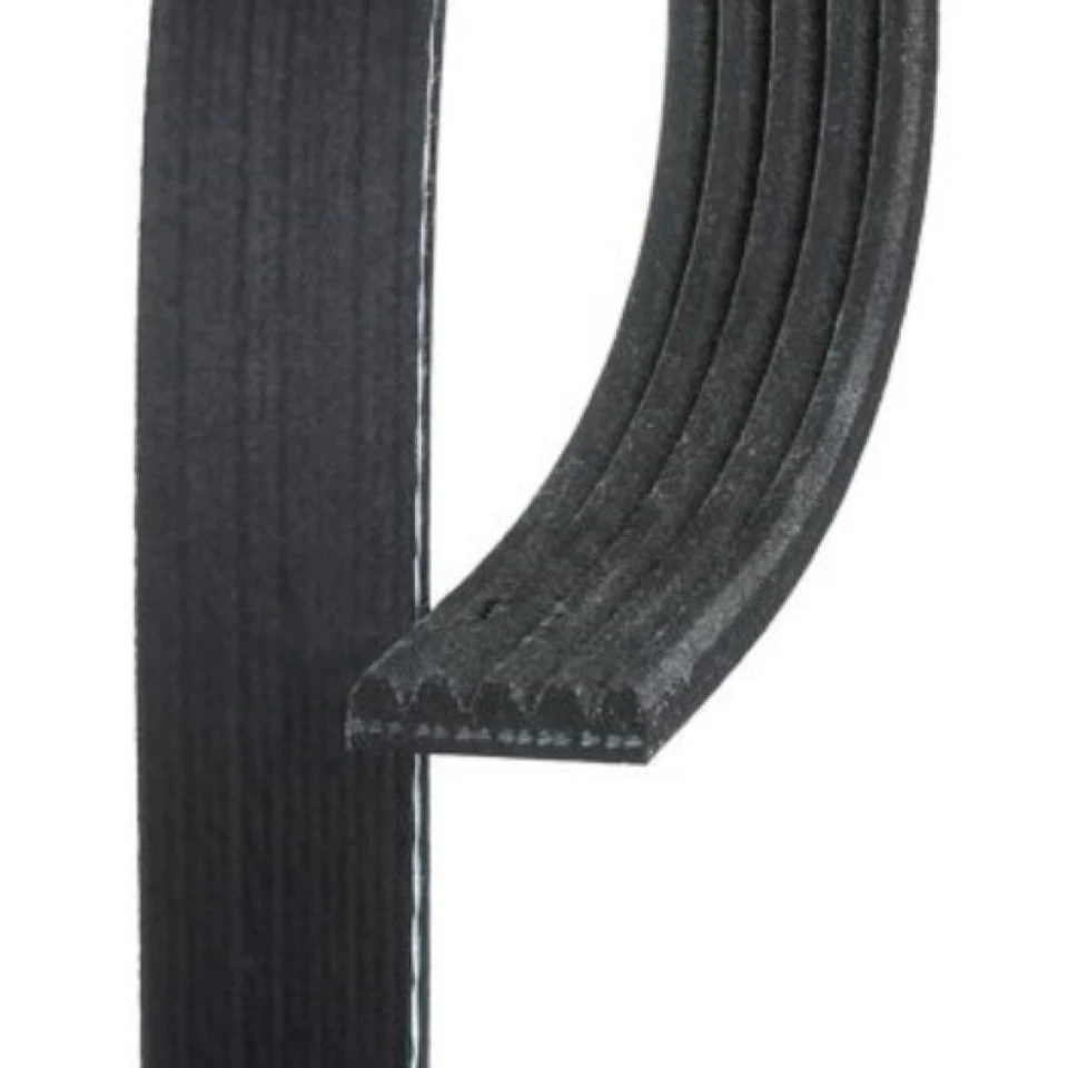 Cinturón serpentino acanalado en V estándar ACDelco genuino para Audi S7/S6 2018 | negro Foto 3 de 4