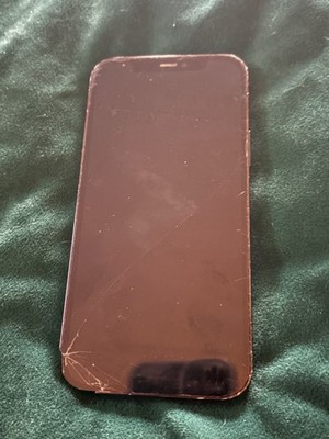 Apple iPhone 12 Pro Max gesprungenes Glas entsperrt funktioniert Apple ID vergessen