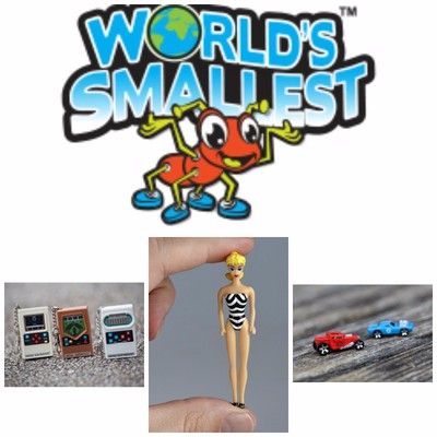 world's smallest collectible toys