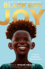 Black Boy Joy: 17 Stories Celebrating Black Boyhood - Hardcover - VERY GOOD