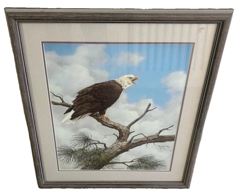 Rare Robert Knutson Wildlife Bald Eagle limited edition 14/600signed and Framed 