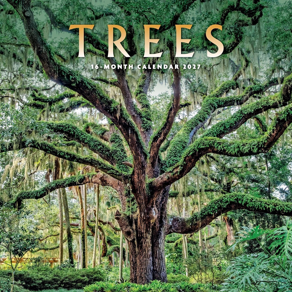 Rackhams Trees Calendar 2027, Wall Calendars, Month To View, Natural World, Gift - Image 2