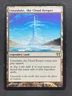 MTG Champions of Kamigawa #285 Untaidake, the Cloud Keeper Land MP/LP