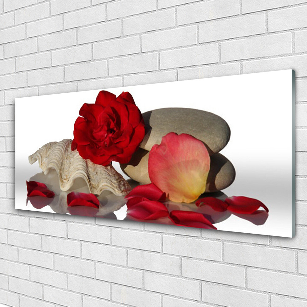 Tableaux sur verre 125x50 Art Rose Coquille en verre trempé haut de gamme