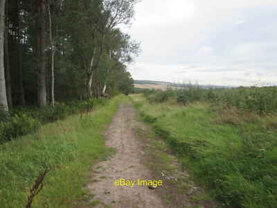Foto 12x8 Dere Street Richtung Roman Camp (Gelände abseits) Crailinghall Birnyedge c2019