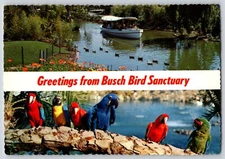 Postcard Parrots Greetings From Busch Bird Sanctuary Boat Tour