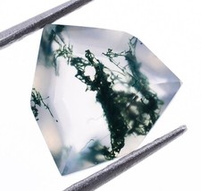 Genuine Moss Agate Faceted Treforze Shape 8X8mm Loose Healing Gemstone 1.5 Ct.