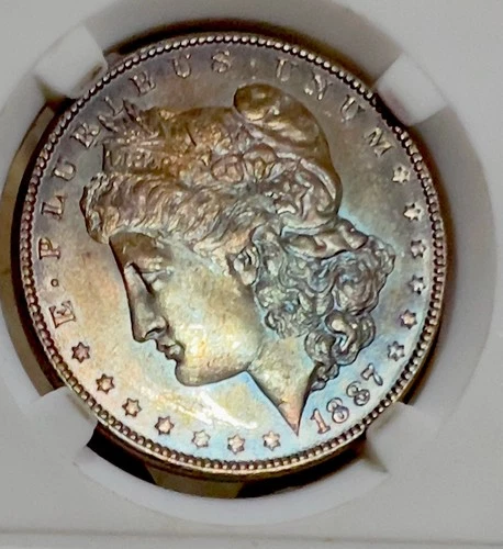 1887 Morgan Dollar Uncirculated Monster Toning, Both Front And Back -7
