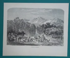 AFRICA Niger Air Mountains Valley of Auderas Camels Caravan - 1858 Antique Print