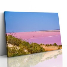 Pink Lake Gregory Beach Canvas Framed Print Picture Wall Art