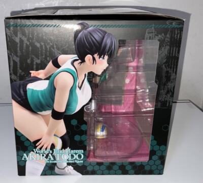 World's End Harem Akira Todo Dress-Up Nobinobi 1/6 Figure