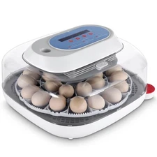 12/24 Eggs Incubator Automatic Turning Chicken Hatcher Incubators Hatching Eggs
