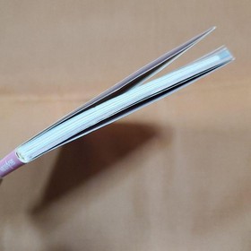 Sega Rally Championship Guide Sega Saturn 1996 Book