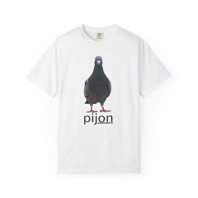 C'est juste un pigeon. It's just a pigeon.