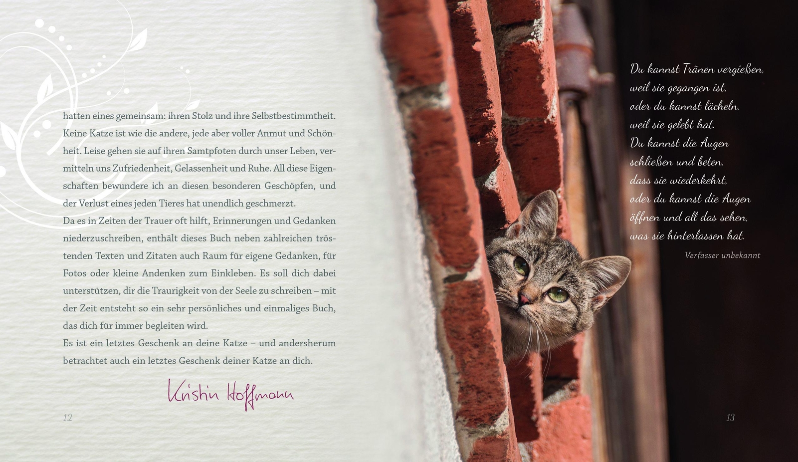 Thumbnail - Mehr Als Nur Eine Katze Kristin Hoffmann