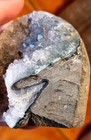 Bild 4 von 12