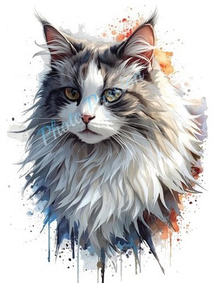 Foto A4 Katze Kunst Explosion Farben Poster Wandbild Katzenliebhaber Geschenk - 2088