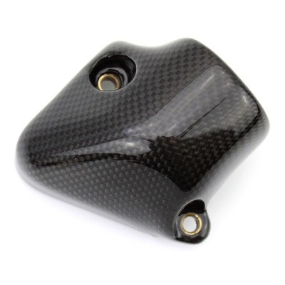 Carbon Kühlerabdeckung für Honda CB 600 F Hornet 2003-2006