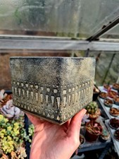 Grey square stone totem plant pot 12.5cm 