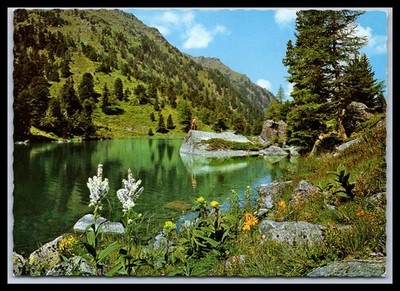 Ansichtskarte In den Nockbergen / Dieslingsee - Stmk. Österreich