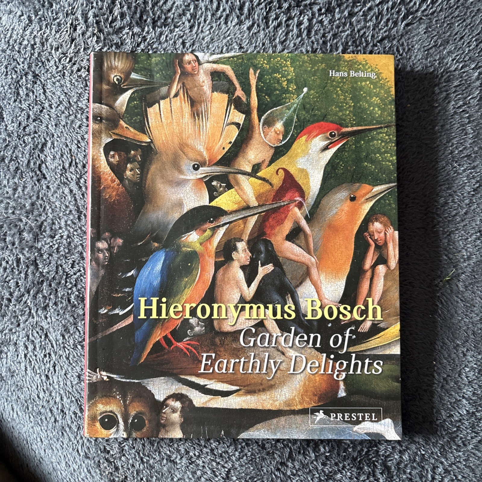 Hieronymus Bosch : Garden of Earthly Delights by Hans Belting (2016, Paperback)
