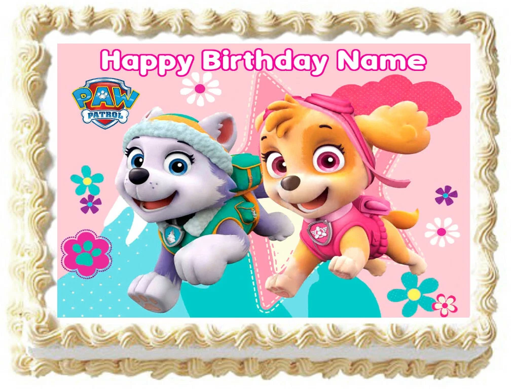Skye everest paw patrol hot sale