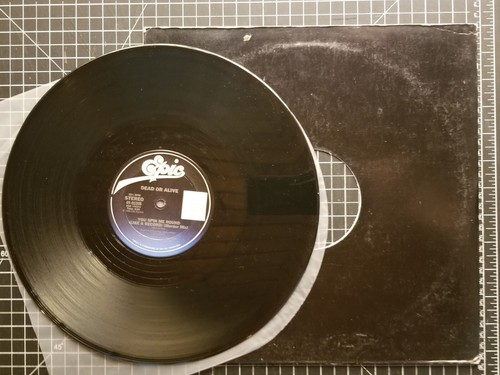 DEAD OR ALIVE You Spin Me Round / Misty Circles 1984 12" SINGLE Vinyl MURDER MIX