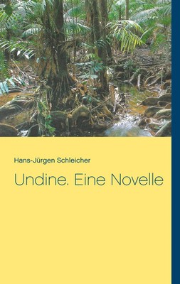 Undine. Eine Novelle Hans-Jürgen Schleicher Taschenbuch 96 S. Deutsch 2019