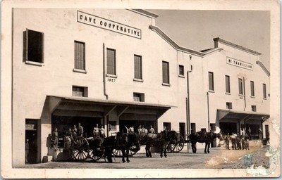 66 TROUILLAS - PHOTO CARD - the cooperative cellar
