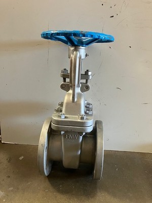 4'' 150# Gate Valve 316 SS FNW - 451AP