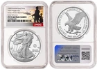 Photo of a 2025-P American Silver Eagle from an eBay listing that sold on Jul 22, 2026