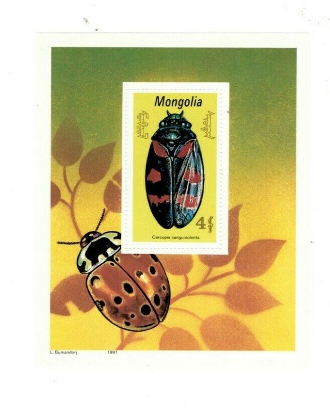 MONGOLIA - Beetles - Insect - Souvenir sheet - MNH | eBay