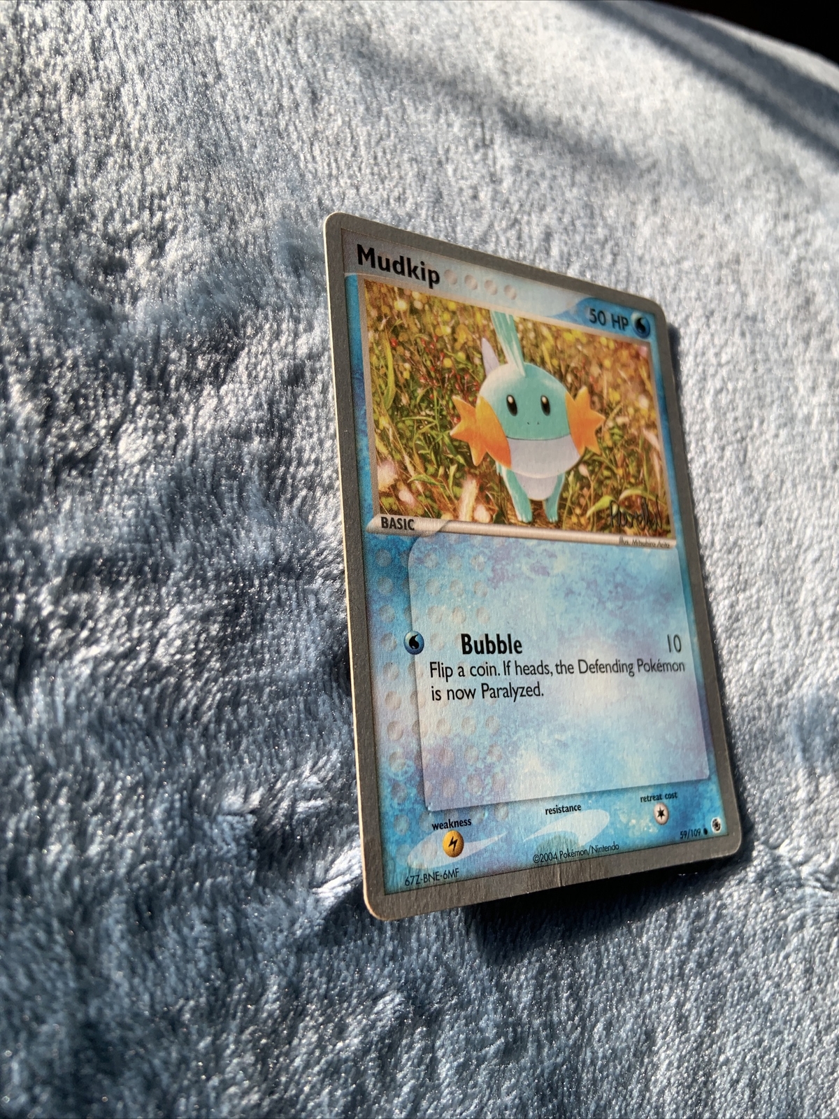 ワールドチャンピオンシップ 2004 Mudkip