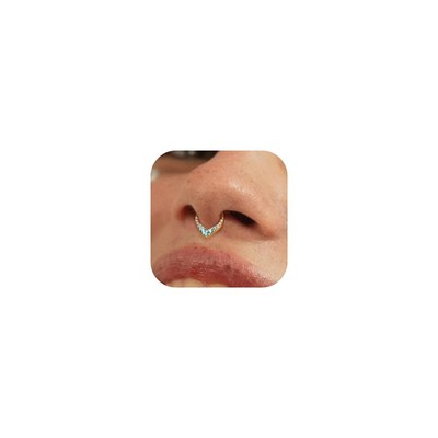 16G Teardrop Septum Rings - 316L Surgical Steel Hinged Nose Rings Septum Pier...
