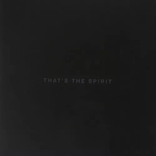 Bring Me The Horizon - That's The Spirit - CD