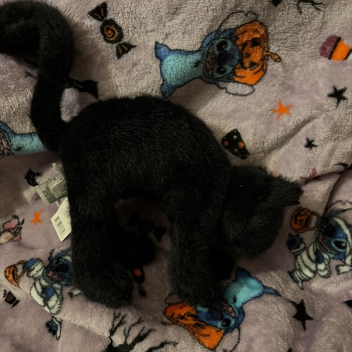 Jellycat SPOOKIPAWS CAT Authentic Limited Edition Halloween Black
