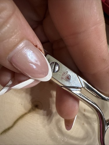 Simply Dovo Embroidery Scissors (3) Set Solingen Germany In Red Label Case - 第 7/9 張圖片