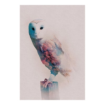 Wandbild ANIMALS FOREST OWL - 50x70 cm Wandbild Grafik Poster
