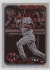 2024 Topps Series 2 Rainbow Foil David Fry #446 0kz8