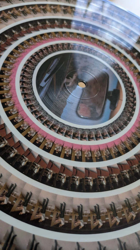 12" Zoetrope Vinyl THE VACCINES: "Pick-Up Full Of Pink Carnations" Blood Records - Bild 4 von 4