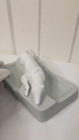 Video 1 von 1