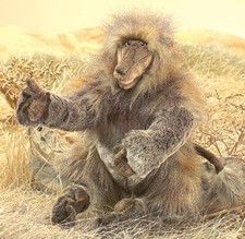 Retired Folkmanis Puppet 2914 Baboon 18" Long