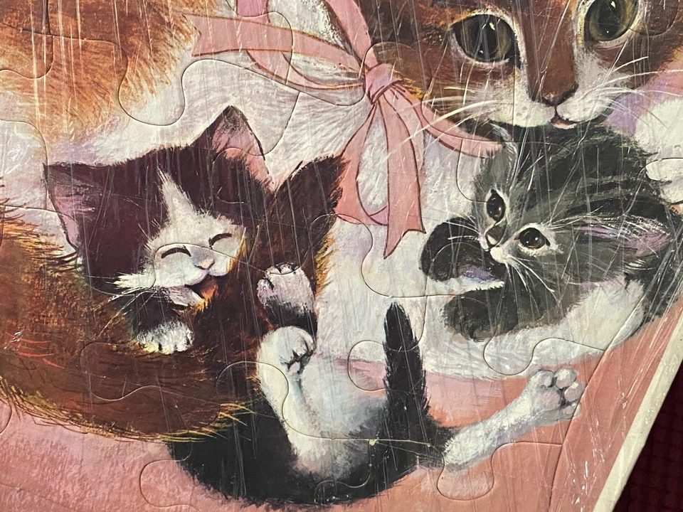 Rompecabezas Rainbow Works Cuddly Cats Foto 4 de 4