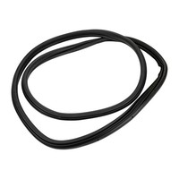 TüRdichtung Profilgummi Hinten Links 51932956
