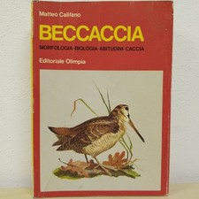 BECCACCIA Matteo Califano Olimpia 1978 Libro Morfologia Caccia cacciatore cani