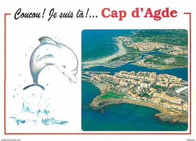 Postcard - 34 - Cap d'Agde - General aerial view - Dolphin drawing -